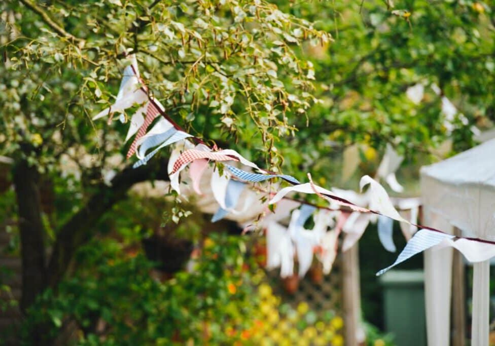 stokpic-bunting-642066